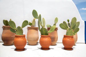 limedeco-akrotiri-santorini-yard (3)