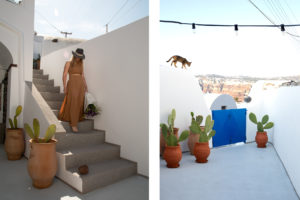 limedeco-akrotiri-santorini-yard (5-2)